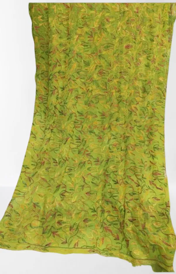 Green_Chikankari_Saree_With_Multicolour_Embroidery