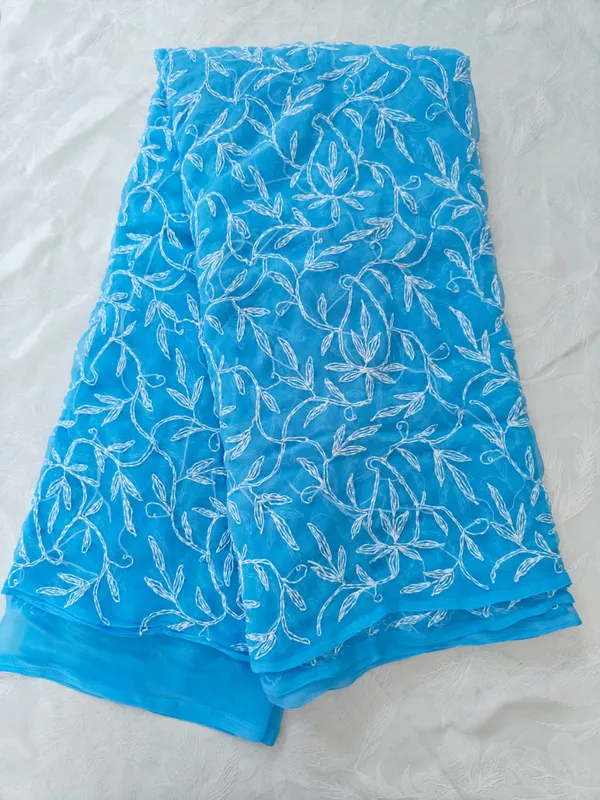 Sky_Blue_Chikankari_Georgette_Saree_With_Tepchi_Embroidery