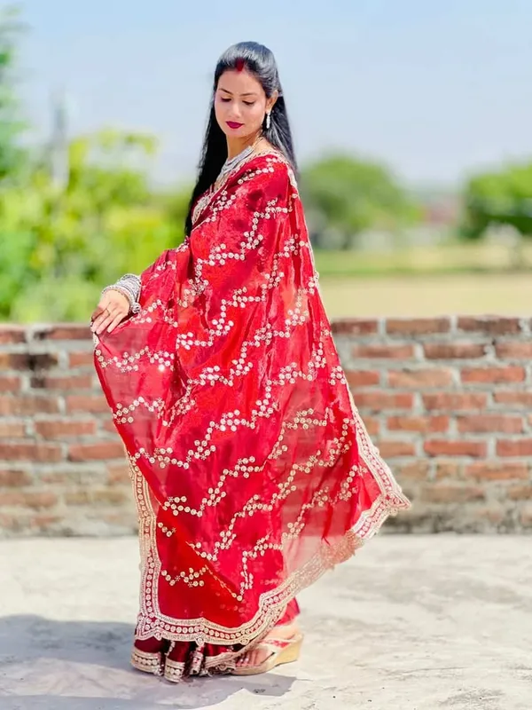Womens_Premium_Embroidered_Partywear_Saree_Beautiful_Floral_Embroidered_Scallop_Border_Festival_Special_Saree_Trendy_Saree_2026_Saree_With_Golden_Sequins_Work_Designer_Blouse