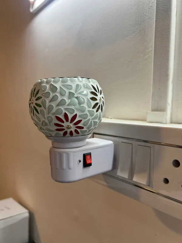 Electric_Night_Lamp_with_Camphor_and_Aroma_oil_Diffuser_-_M04