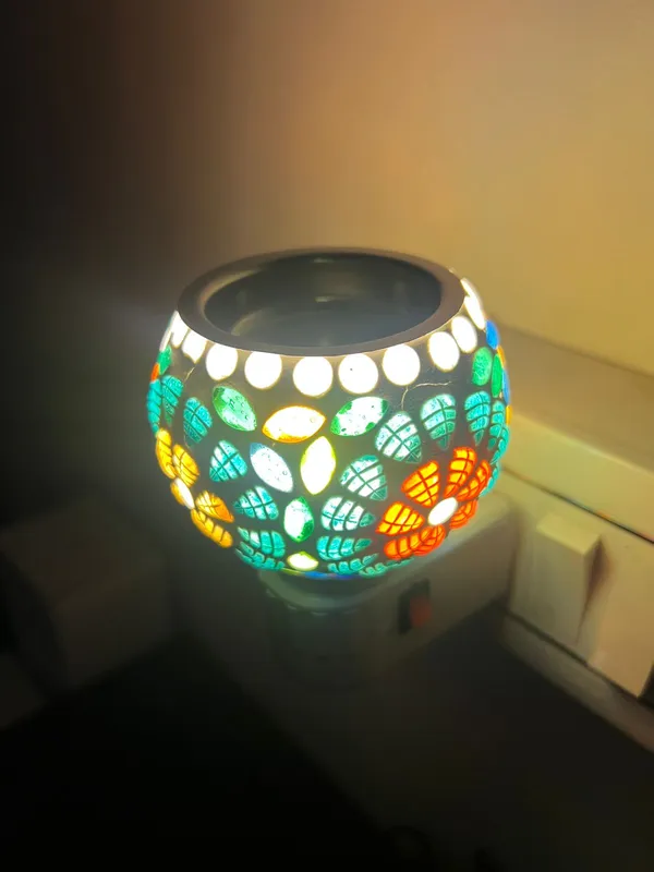 Electric_Night_Lamp_with_Camphor_and_Aroma_oil_Diffuser_-_M03
