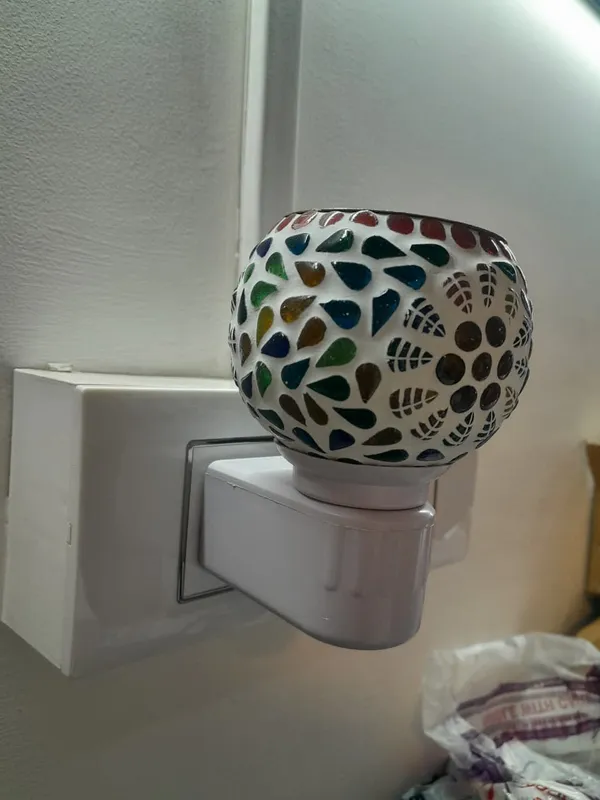 Electric_Night_Lamp_with_Camphor_and_Aroma_oil_Diffuser_-_M03