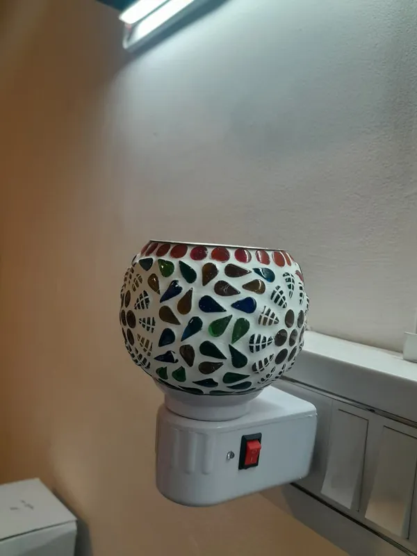 Electric_Night_Lamp_with_Camphor_and_Aroma_oil_Diffuser_-_M03