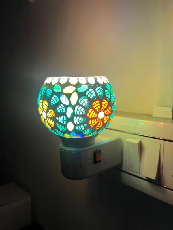 Electric_Night_Lamp_with_Camphor_and_Aroma_oil_Diffuser_-_M03