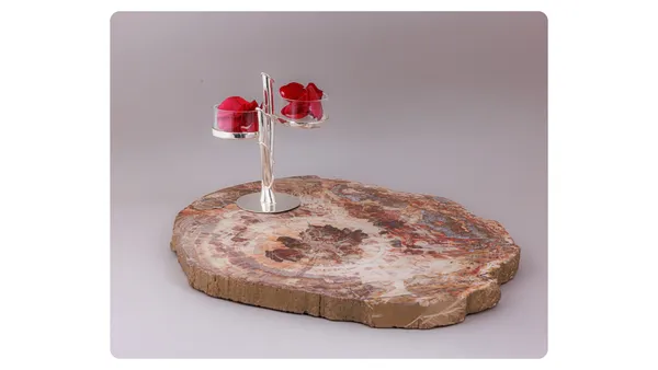 Natural_Petrified_Wood_Jewelry_Display_Stand_With_Glass_Holder