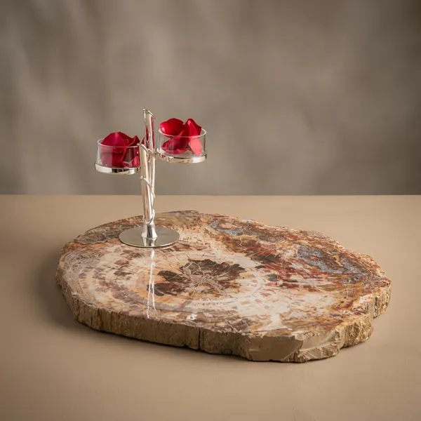 Auriesta_Fossil_Wood_Chip_And_Dip_Platter_-_Decorative_Glass_Platter_With_Natural_Petrified_Wood_Base