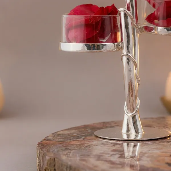 Natural_Petrified_Wood_Jewelry_Display_Stand_With_Glass_Holder