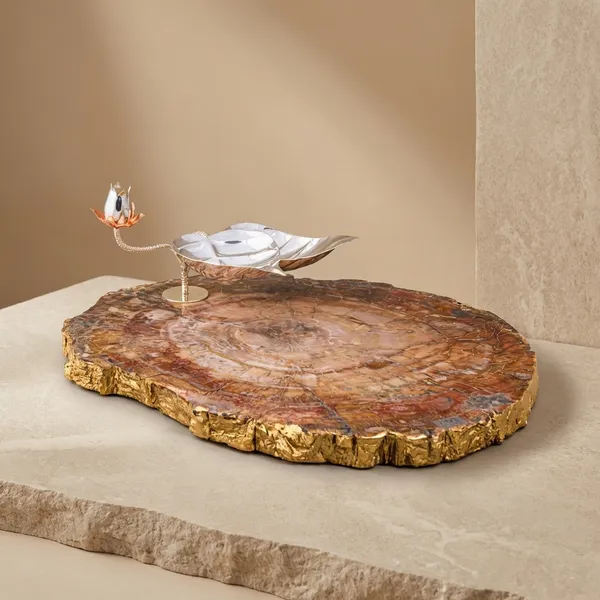 Petrified_Wood_Slice_Coffee_Table_With_Unique_Fossil-Like_Surface