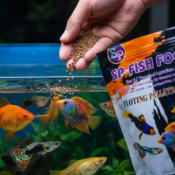 Floating_Pellets_1.2Mm_For_All_Aquarium_Fish_200G