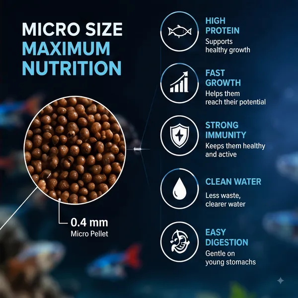 MICRO_PALLATE_50G