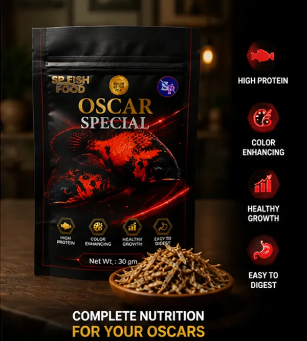 SP_Fish_Food_Oscar_Special_30g_|_High_Protein_Fish_Food_for_Oscar_Cichlids_|_Natural_Color_Enhancing_Formula_|_Supports_Healthy_Growth_&_Easy_Digestion_|_Premium_Aquarium_Fish_Food
