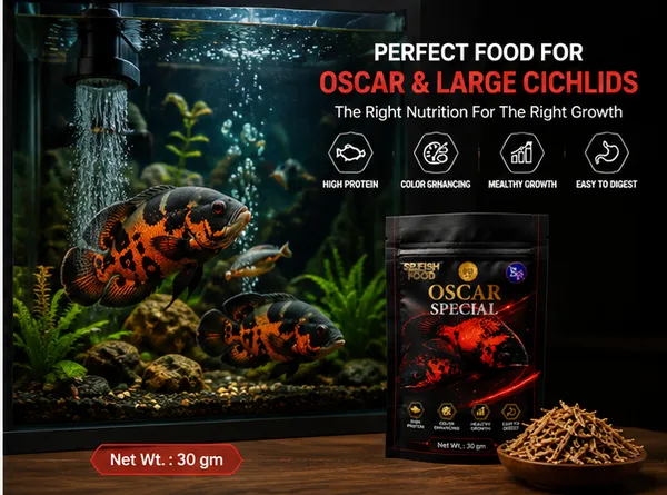 SP_Fish_Food_Oscar_Special_30g_|_High_Protein_Fish_Food_for_Oscar_Cichlids_|_Natural_Color_Enhancing_Formula_|_Supports_Healthy_Growth_&_Easy_Digestion_|_Premium_Aquarium_Fish_Food