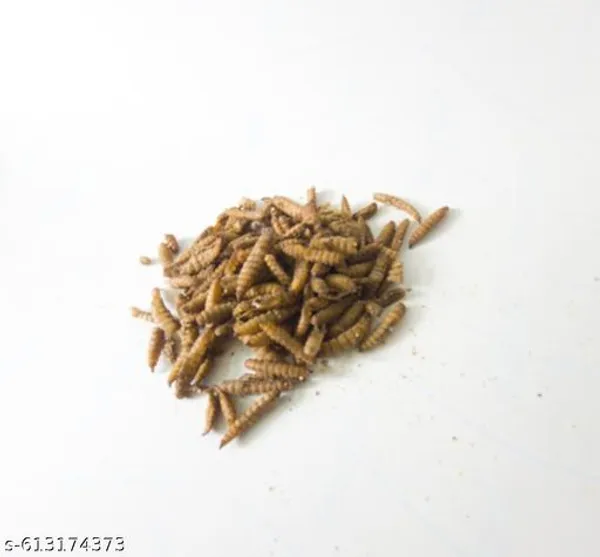 Sp_Bsf_Larva_Pouch_Fish_Food_30Gm_Pouch