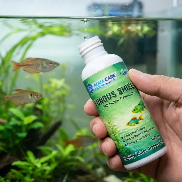 Aqua_Care_Fungus_Shield_Antifungal_Treatment_For_Aquarium_Fish_100Ml