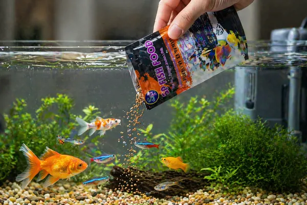 Floating_Pellets_1.2Mm_Premium_Aquarium_Fish_Feed_50_G