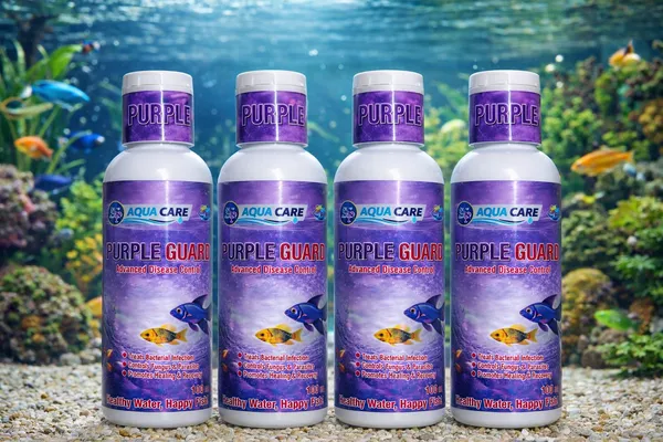 Aqua_Care_Purple_Guard_Advanced_Disease_Control_For_Aquarium_Fish_100Ml