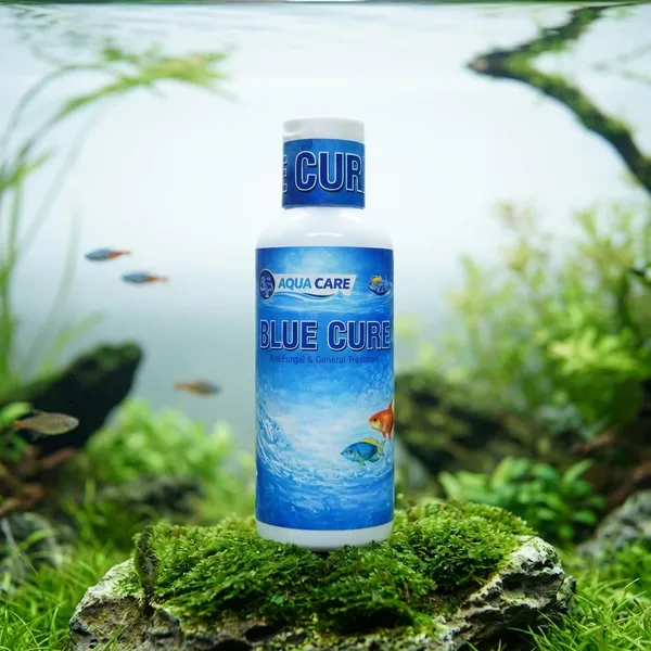 Blue_Cure_Aqua_Care_Antifungal_&_General_Treatment_For_Fish_Pack_Of_5