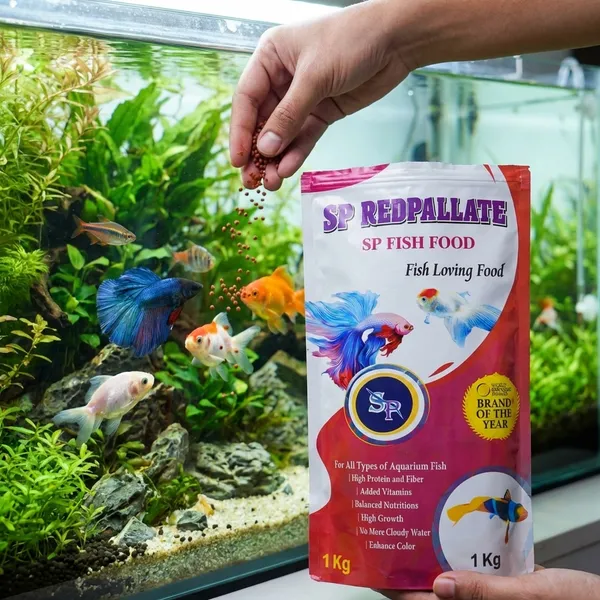 Sp_Redpallate_Fish_Food_High_Protein_Aquarium_Feed_1_Kg