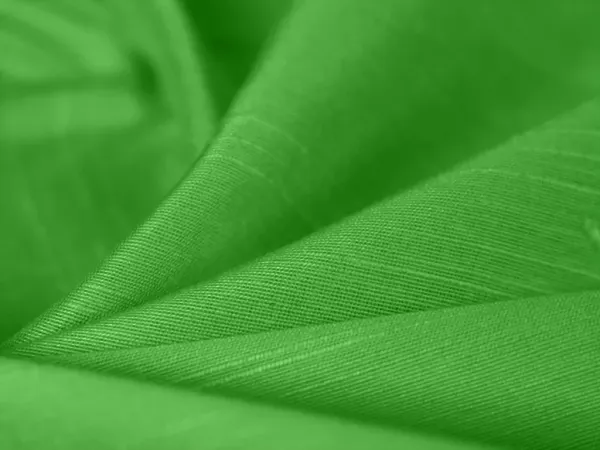 Parrot_Green_Plain_Bangalore_Raw_Silk_Fabric_(Price_Per_Meter)