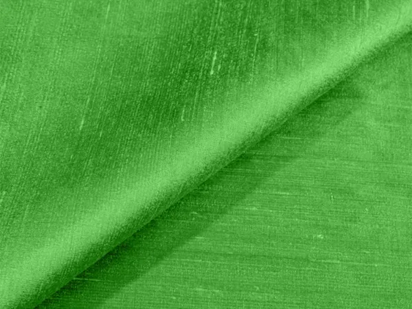 Parrot_Green_Plain_Bangalore_Raw_Silk_Fabric_(Price_Per_Meter)