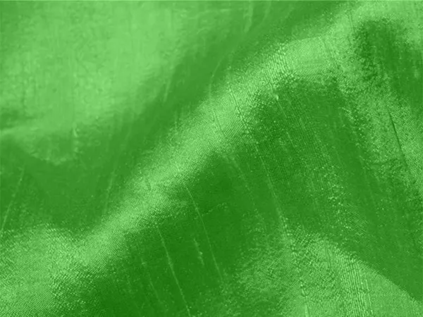 Parrot_Green_Plain_Bangalore_Raw_Silk_Fabric_(Price_Per_Meter)
