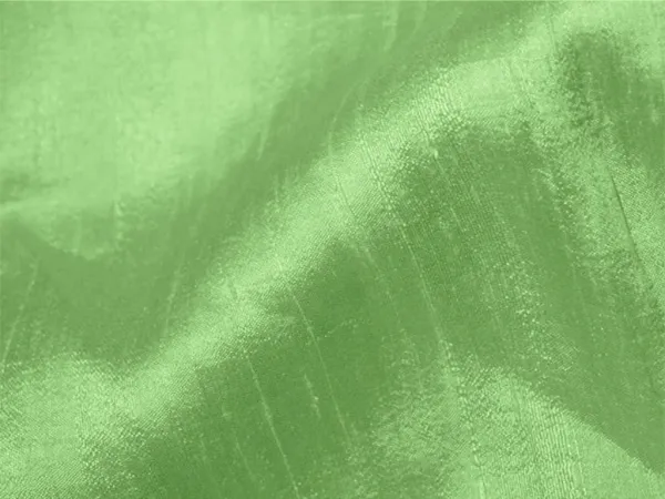 Pista_Green_Plain_Bangalore_Raw_Silk_Fabric_(Price_Per_Meter)