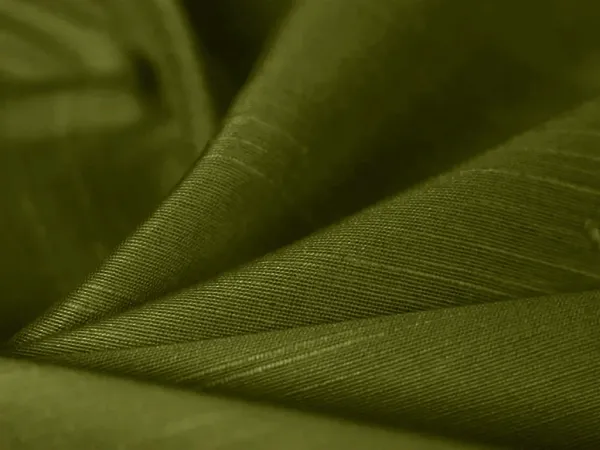 Mehndi_Green_Plain_Bangalore_Raw_Silk_Fabric_(Price_Per_Meter)