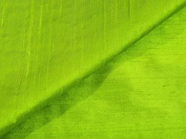 Parrot_Green_Plain_Bangalore_Raw_Silk_Fabric_(Price_Per_Meter)