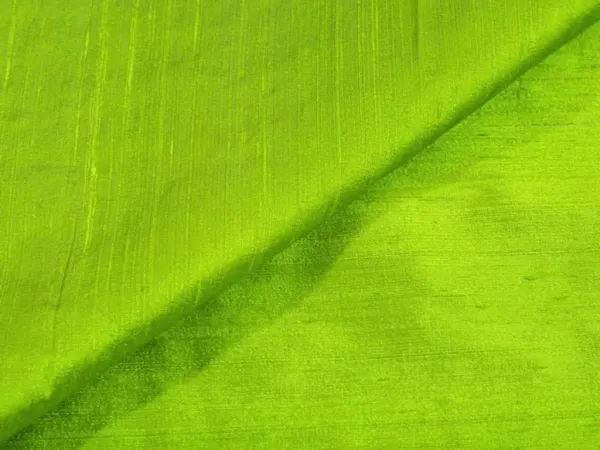 Parrot_Green_Plain_Bangalore_Raw_Silk_Fabric_(Price_Per_Meter)