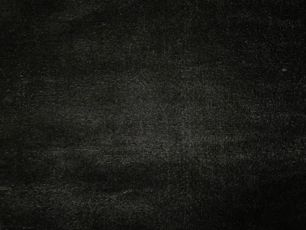 Black_Plain_Viscose_Micro_Velvet_Fabric_(Price_Per_Meter)