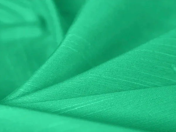 Sea_Green_Plain_Bangalore_Raw_Silk_Fabric_(Price_Per_Meter)