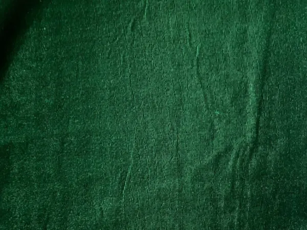 Bottle_Green_Plain_Viscose_Micro_Velvet_Fabric_(Price_Per_Meter)