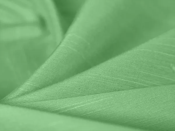 Mint_Green_Plain_Bangalore_Raw_Silk_Fabric_(Price_Per_Meter)