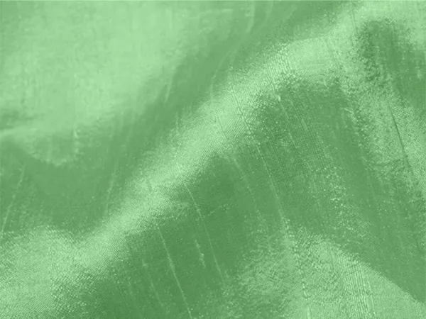 Mint_Green_Plain_Bangalore_Raw_Silk_Fabric_(Price_Per_Meter)