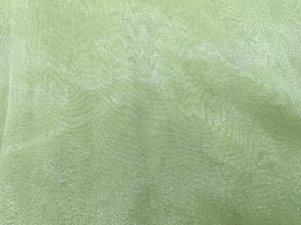 Pista_Green_Plain_Organza_Fabric_(Price_Per_Meter)