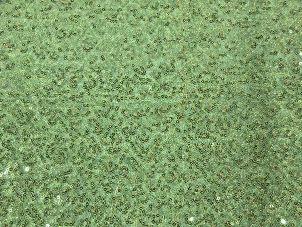 Pista_Green_Sequins_Embroidery_Work_Net_Fabric_(Price_Per_Meter)