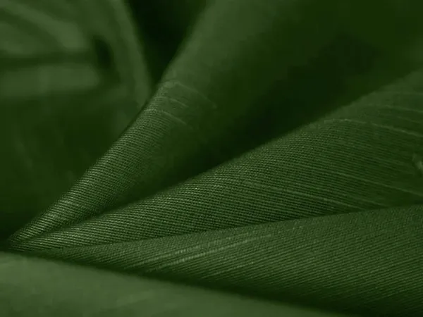 Mehndi_Green_Plain_Bangalore_Raw_Silk_Fabric_(Price_Per_Meter)