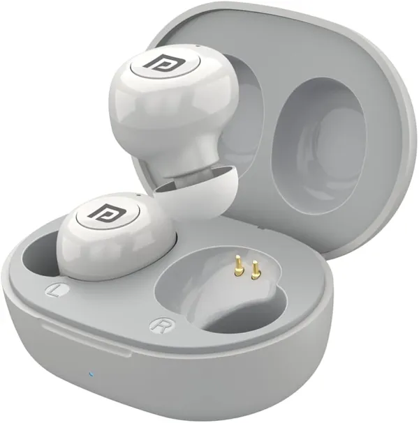Grey_True_Wireless_Earbuds_With_Charging_Case
