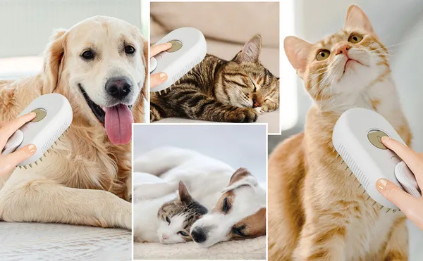 Blue_3_In_1_Premium_Pet_Grooming_Brush_For_Dogs_With_Free_Cats_(Pack_Of_3)