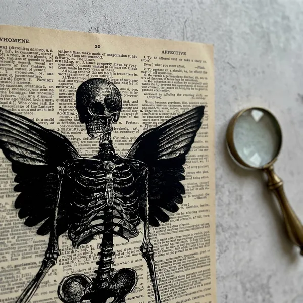Multicolor_Acrylic_Skelton_Got_Wings_Aesthetic_Book_Poster_For_Home_Decor