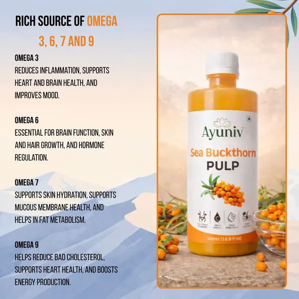 Buy_1_Get_1_Free_Ayuniv_Sea_Buckthorn_Juice_500ml_+_500ml_|_Omega_3_6_7_9_Rich_Superfruit_|_High_Vitamin_C_|_Immunity_Booster_|_Skin_&_Hair_Health_Drink