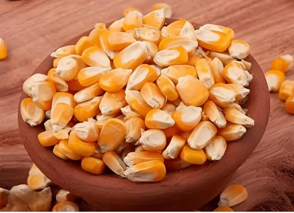Shreewastawa's_Organic_Maize_Flour_(Makke_Ka_Atta)__|_Pure__Freshly_Ground_Makki_Atta_|_Gluten_Free,_High_Fiber_And_Non_GMO