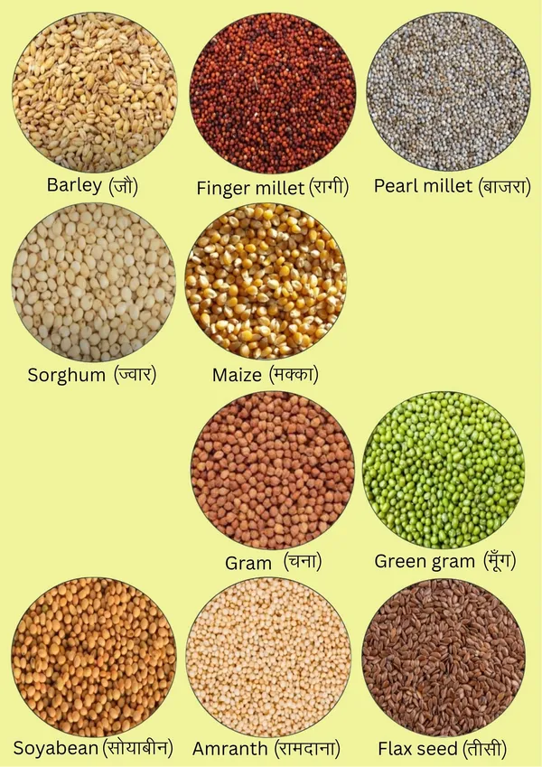 Shreewastawa's__Sugar_Free_Multigrain_Flour,_Gluten_Free,_With_Barley,_Ragi,_Pearl_Millet,_Sorghum,_Flax_Seed