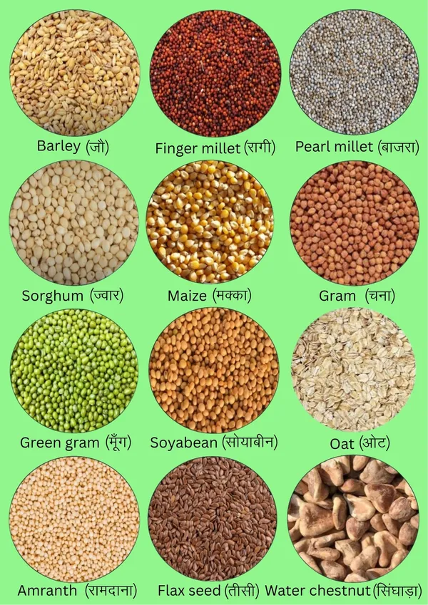Shreewastawa's_Multigrain_Flour_Without_Wheat_With_High_Fiber_And_Protein_For_Cooking