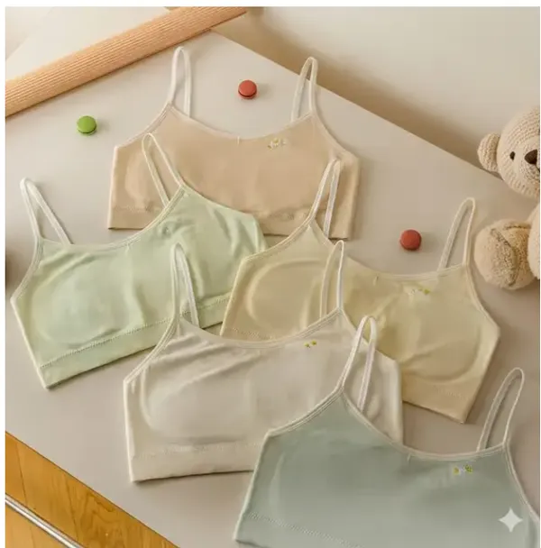 Nylon_Spandex_Premium_Bra_For_Teenage_Girls