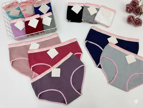 Pack_of_3_-__Cotton_Premium_Panties_For_Women