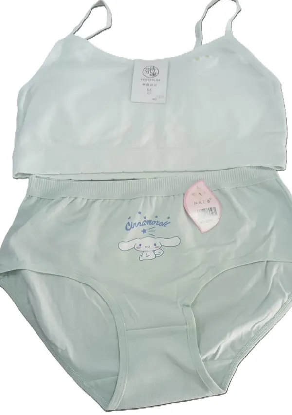 Mint_Green_Cotton_Premium_Lingerie_Set_For_Women