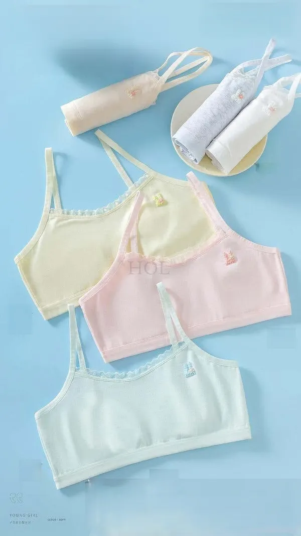 Pack_of_2_-_Cozy_Lace_Bralette_Set_in_Soft_Colors_for_Comfortable_Wear
