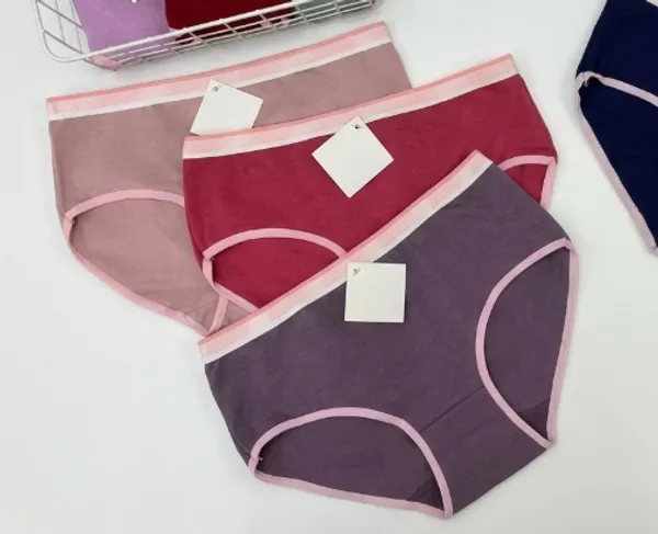 Multicolour_Cotton_Premium_Panties_For_Women