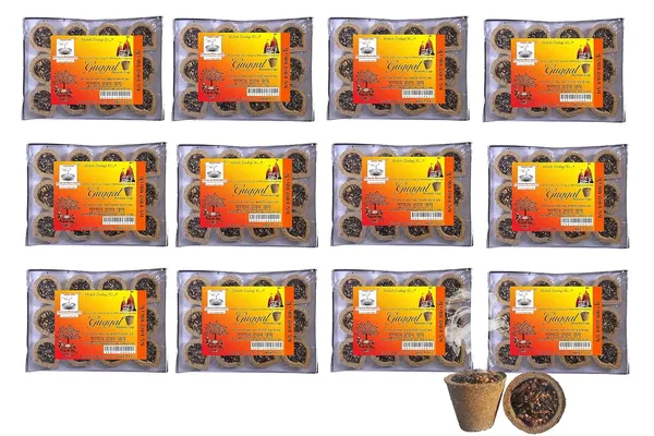 Guggul_Cup_Dhoop_Cup_Dhoop_For_Home_Pooja_Pack_Of_12